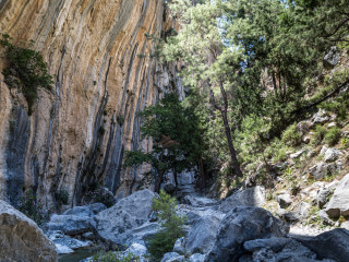 Samaria Image 4